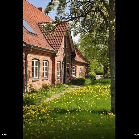 Landhaus Hohenfelde Hohenfelde  Exteriér fotografie