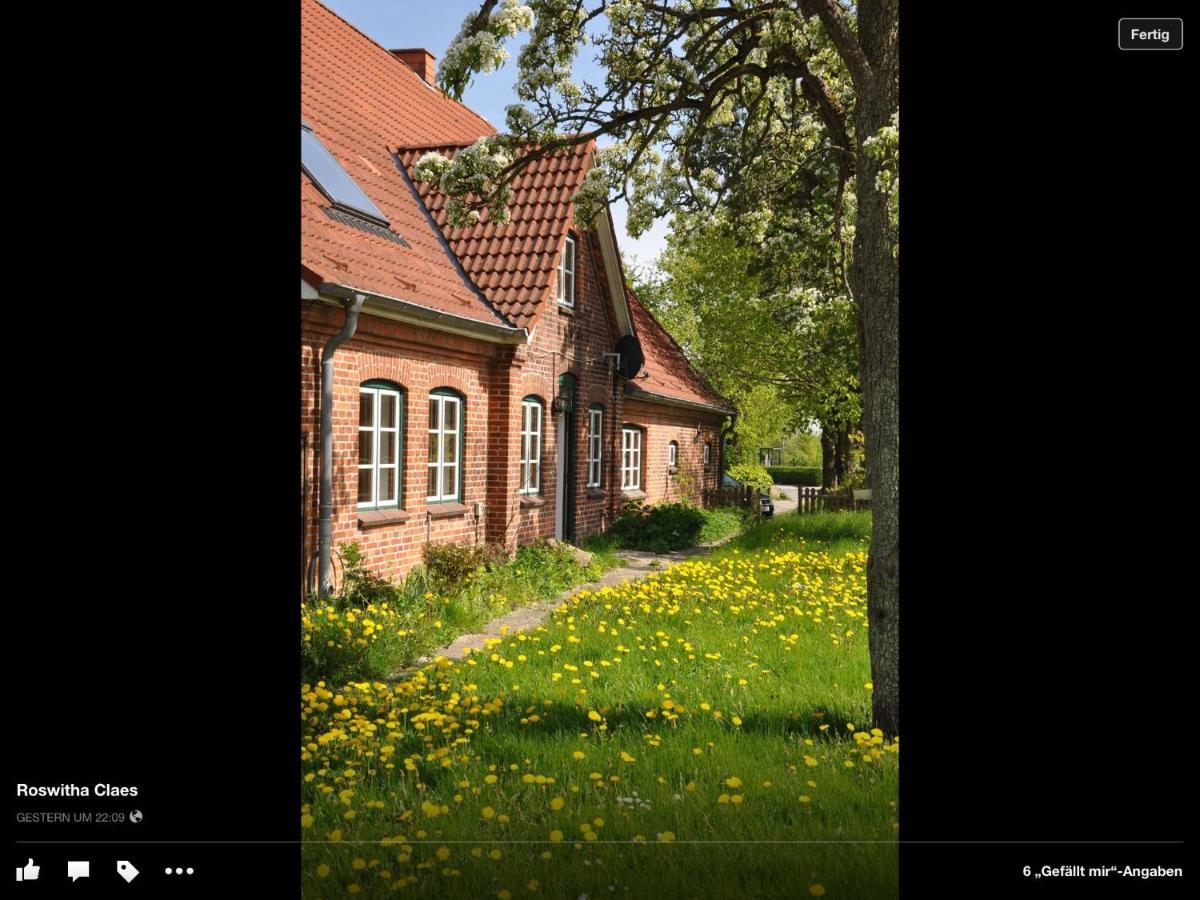 Landhaus Hohenfelde Hohenfelde  Exteriér fotografie